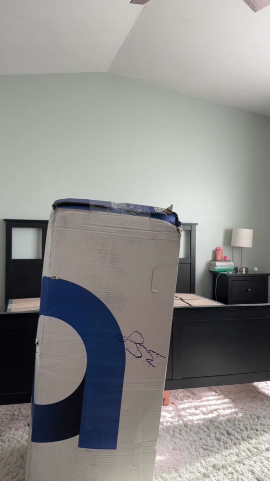 Say hello to better sleep! 🛌✨ AD: Our new @Amerisleep AS6 Black Series mattress just arrived, and we couldn’t be more excited! Designed for side and combo sleepers, it features ultra-plush Bio-Pur® memory foam that melts away pressure and advanced cooling tech to keep us comfy all night long. ❄️💤What makes it even better? It’s eco-friendly, crafted with plant-based foams, and built with an EdgeGuard™ support system for durability and zoned comfort. Plus, the motion isolation means no more tossing and turning!We’re so ready to prioritize good sleep and dive into the coziest nights ever. 🌙✨ If you’re looking to upgrade your sleep, this is the mattress that truly exceeds expectations!